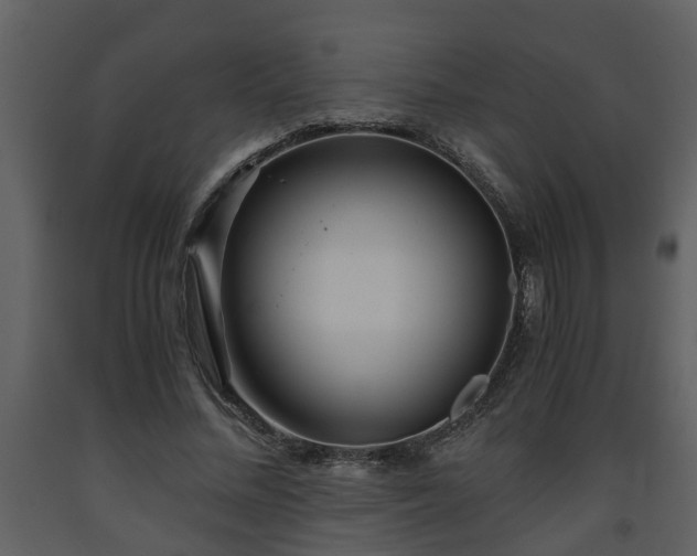 X0000093440684200710191041