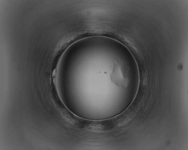 X0000093440685200710191041