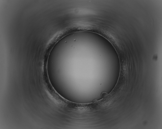 X0000093440686200710191041