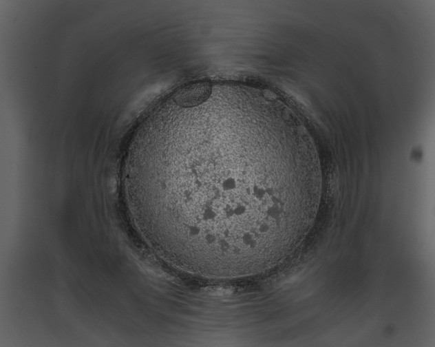 X0000093440687200710191041