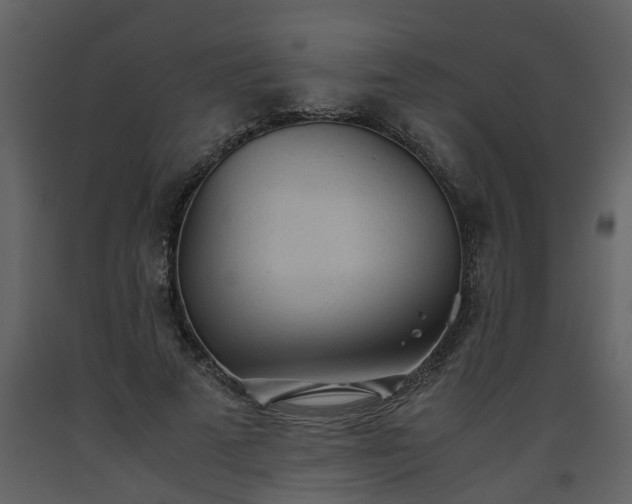 X0000093440689200710191041
