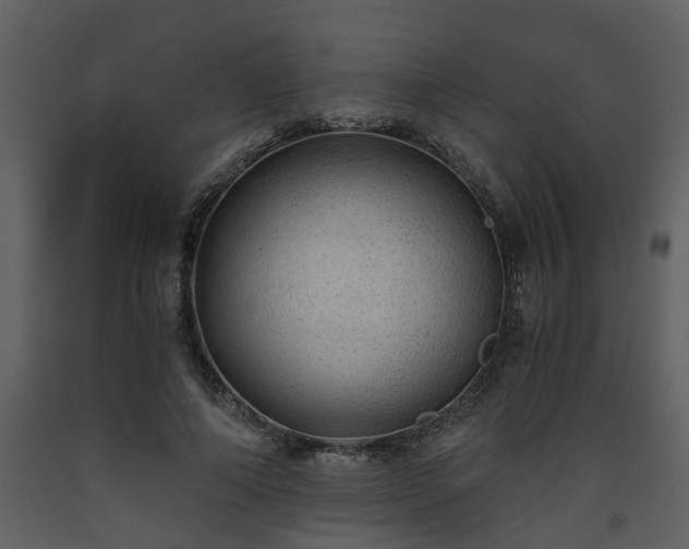 X0000093440690200710191041