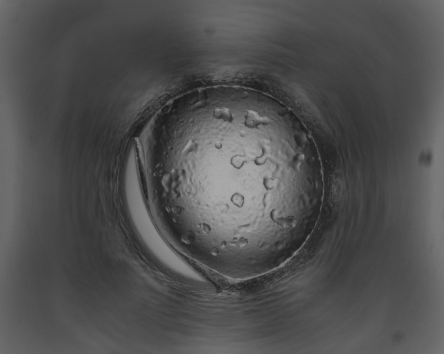 X0000093440691200710191041