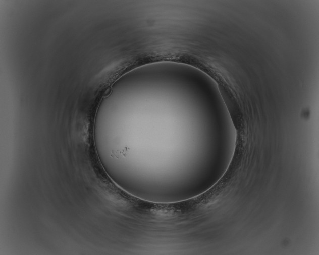 X0000093440693200710191041