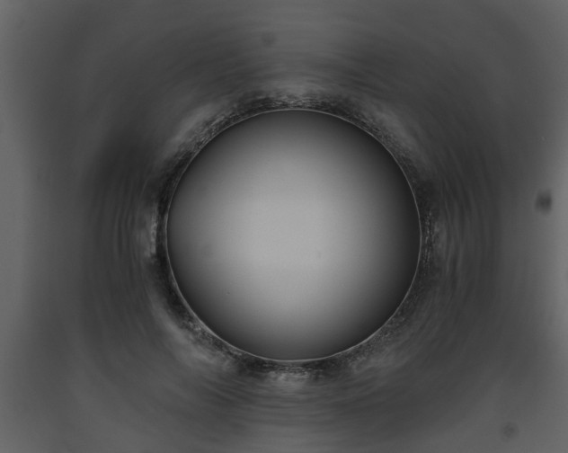X0000093440694200710191041