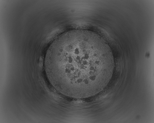 X0000093440695200710191041