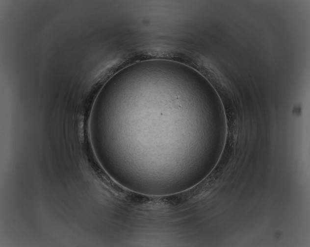 X0000093440696200710191041