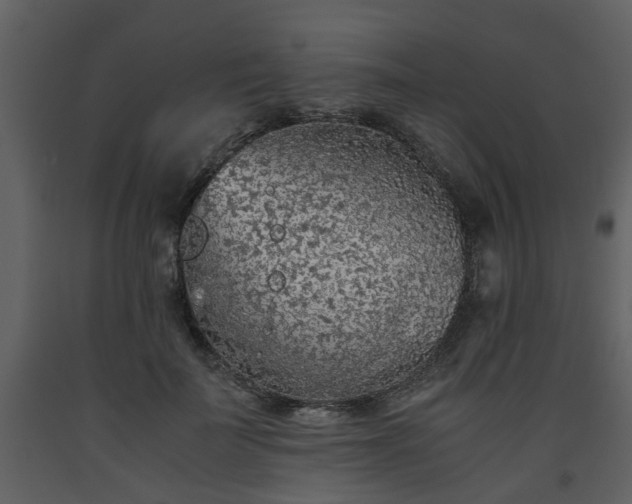 X0000093440699200710191041