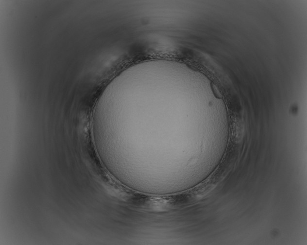 X0000093440701200710191041