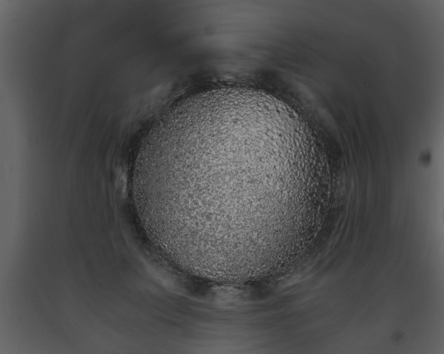 X0000093440703200710191041