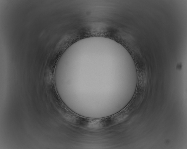 X0000093440705200710191041