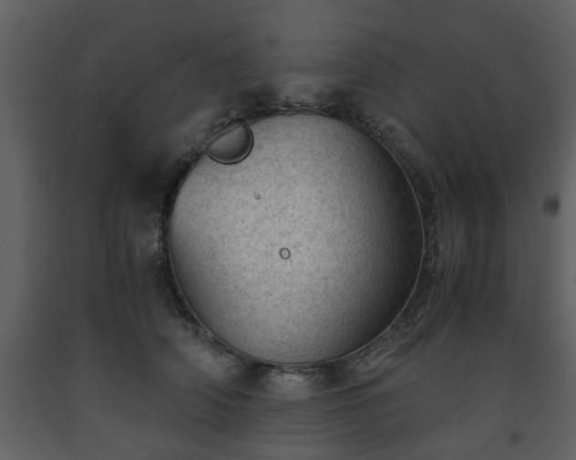 X0000093440706200710191041