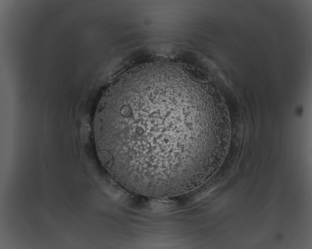 X0000093440707200710191041