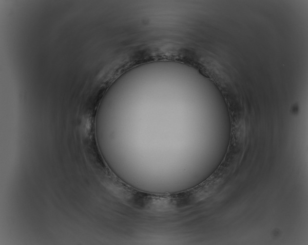 X0000093440709200710191041