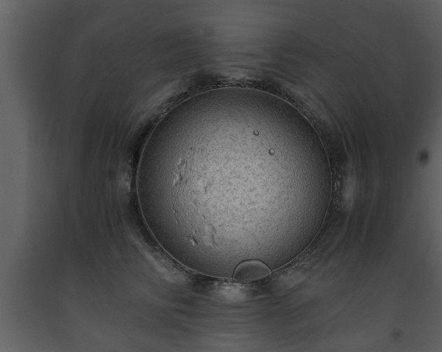 X0000093440710200710191041