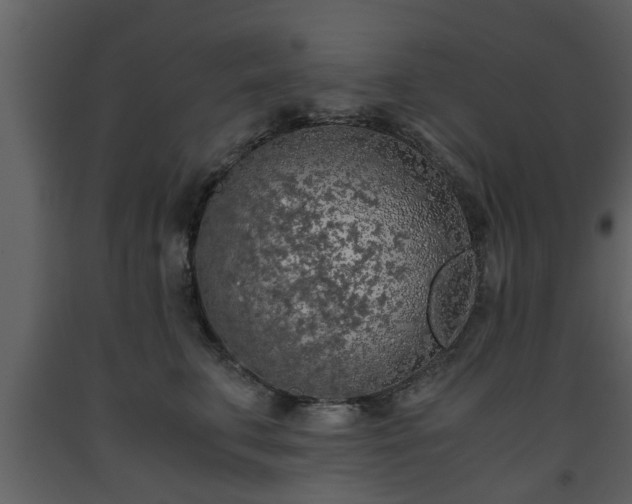 X0000093440711200710191041