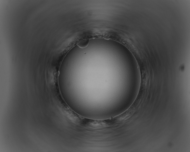 X0000093440712200710191041