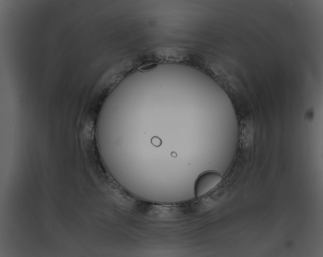 X0000093440713200710191041
