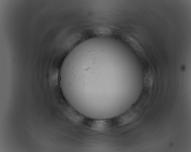 X0000093440717200710191041