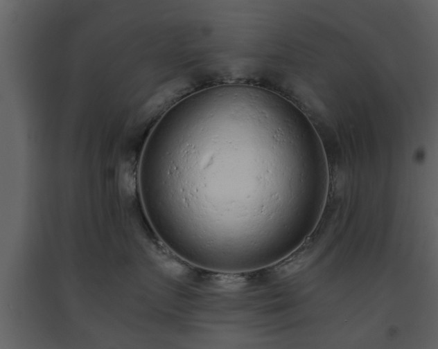 X0000093440719200710191041