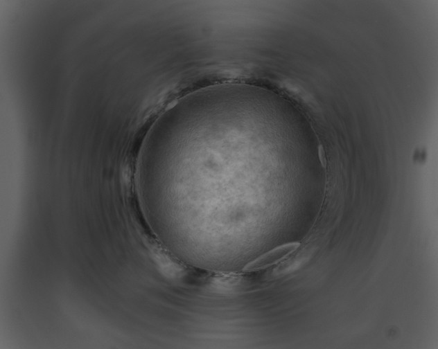 X0000093440720200710191041