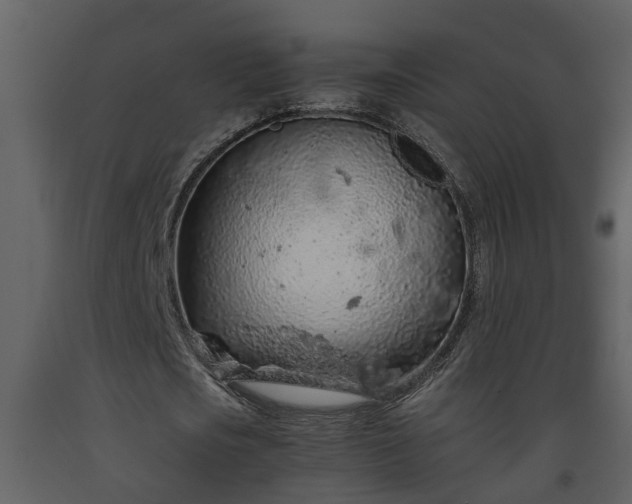 X0000093440721200710191040