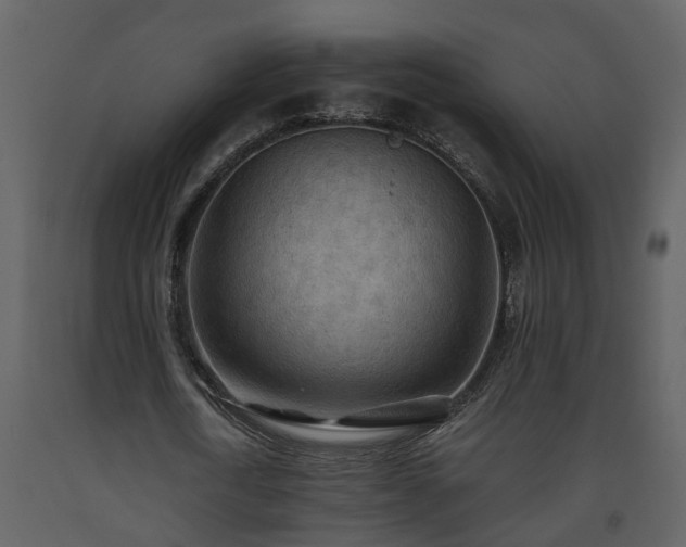 X0000093440722200710191040