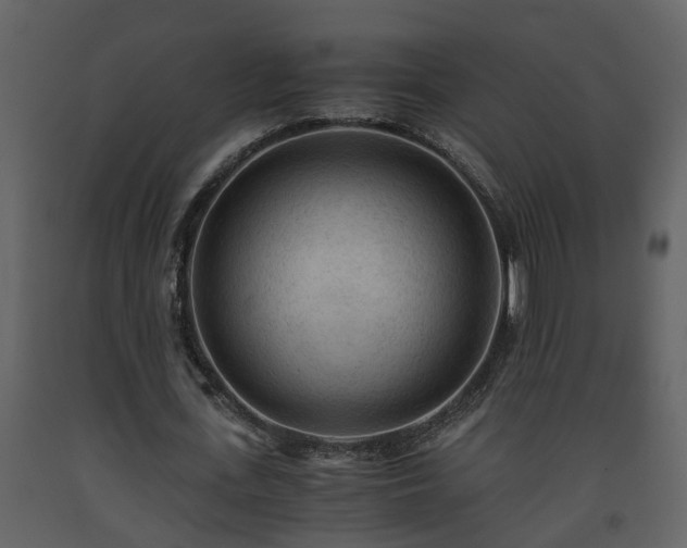 X0000093440723200710191040