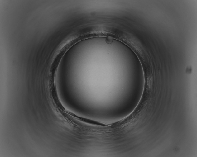 X0000093440724200710191040