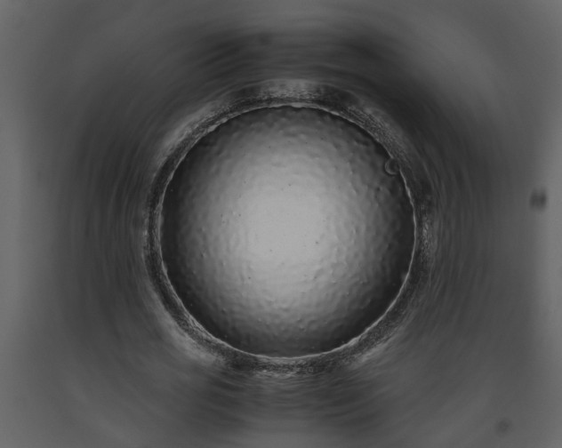 X0000093440725200710191040