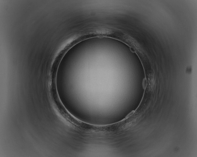 X0000093440726200710191040