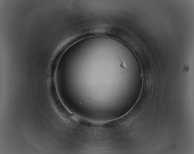 X0000093440728200710191040