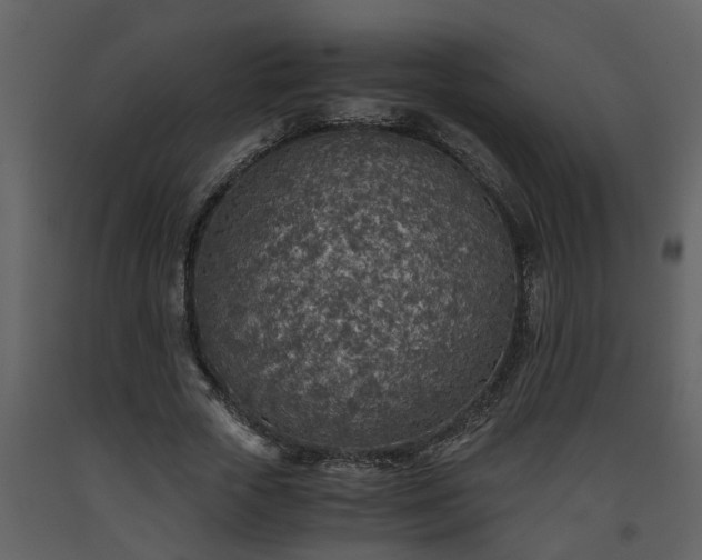 X0000093440729200710191040