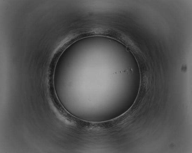 X0000093440730200710191040