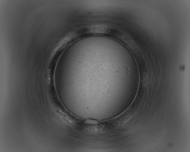 X0000093440731200710191040
