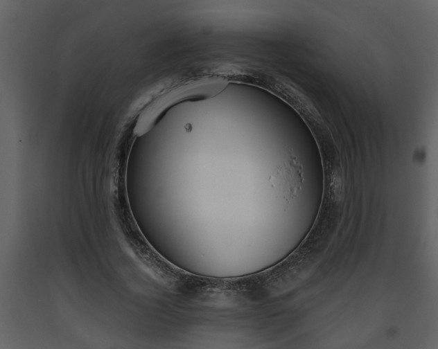 X0000093440732200710191040