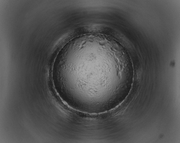 X0000093440733200710191040