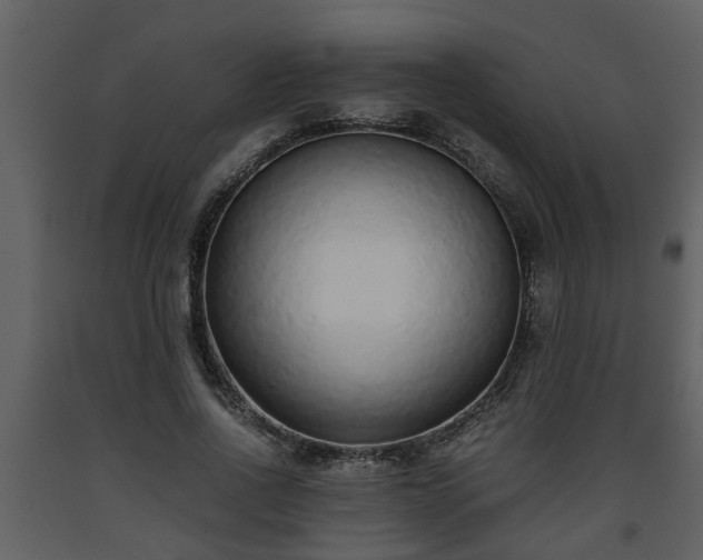X0000093440734200710191040