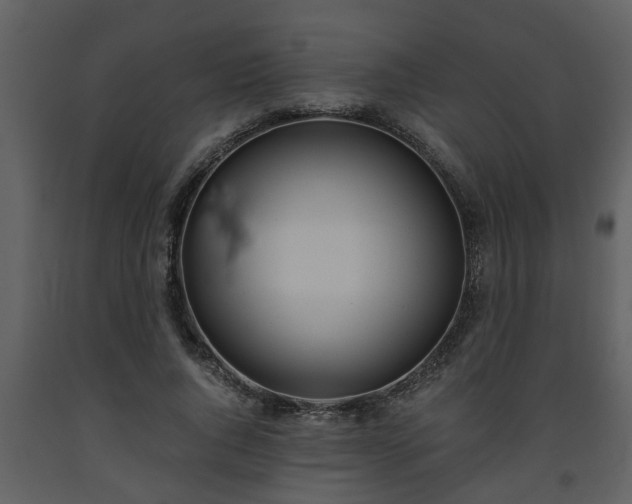 X0000093440736200710191040