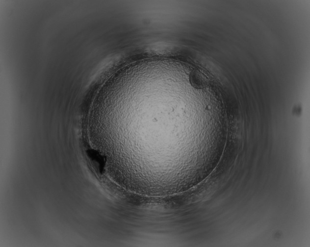X0000093440738200710191041