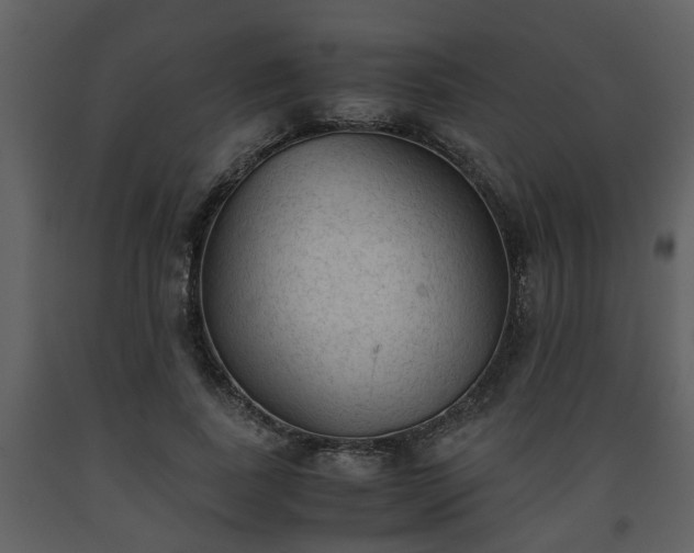X0000093440739200710191041