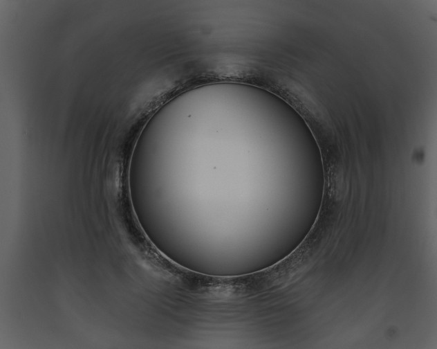X0000093440740200710191041