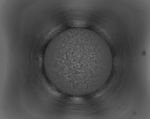 X0000093440741200710191041