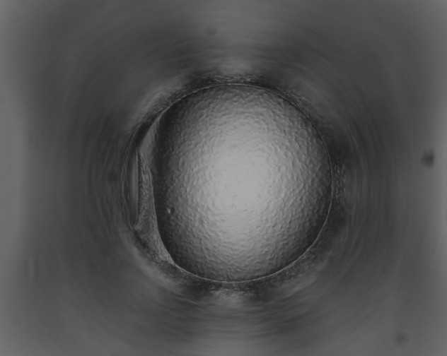 X0000093440742200710191041