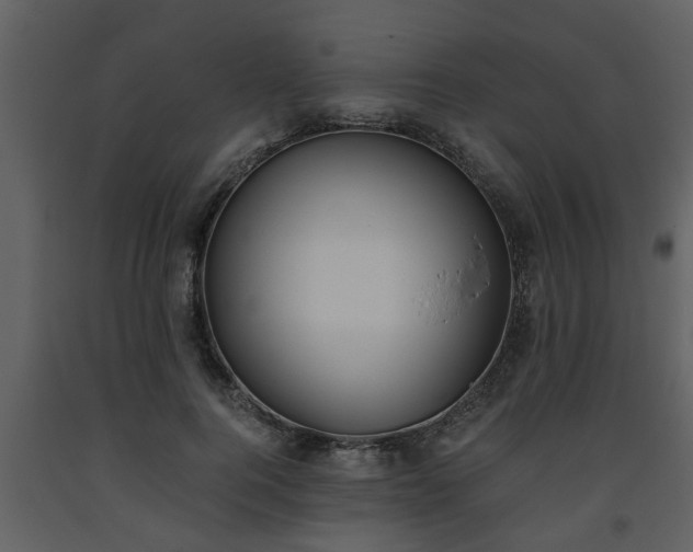 X0000093440744200710191041