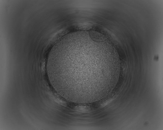 X0000093440745200710191041