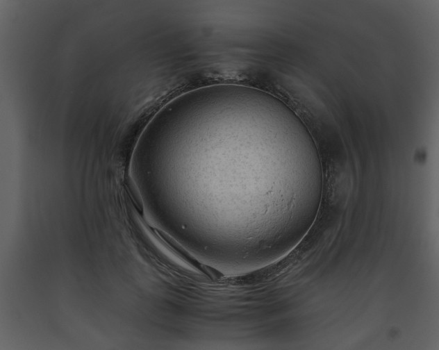 X0000093440747200710191041