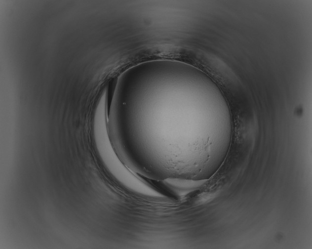 X0000093440748200710191041