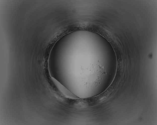 X0000093440750200710191041