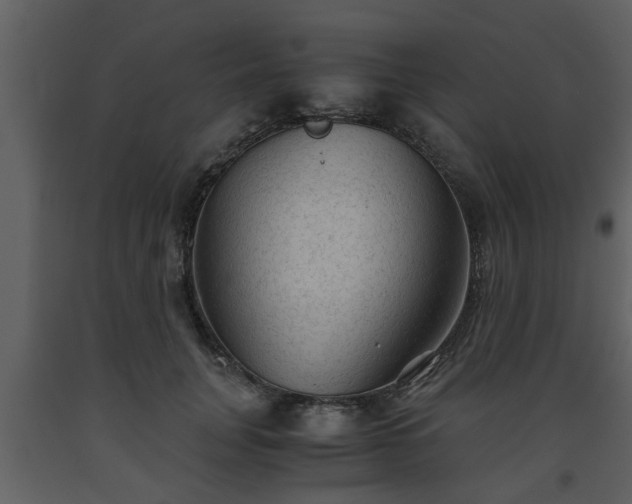 X0000093440751200710191041